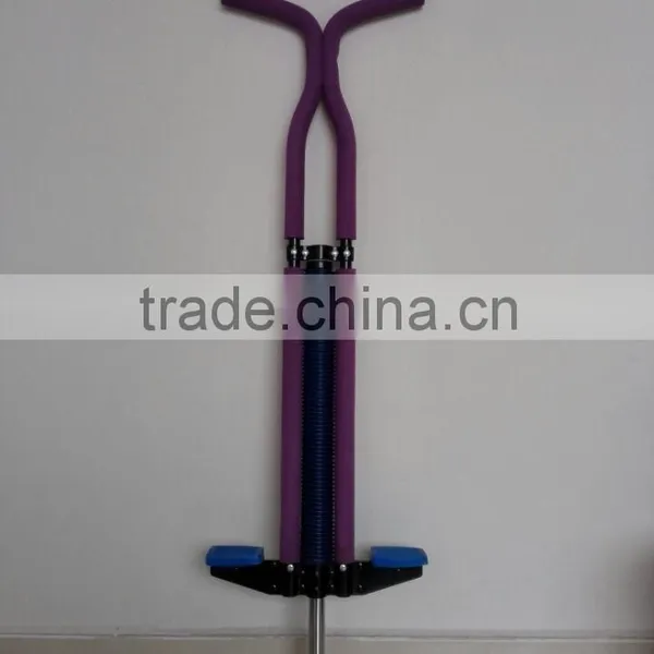 Elegant Purple Pogo Stick