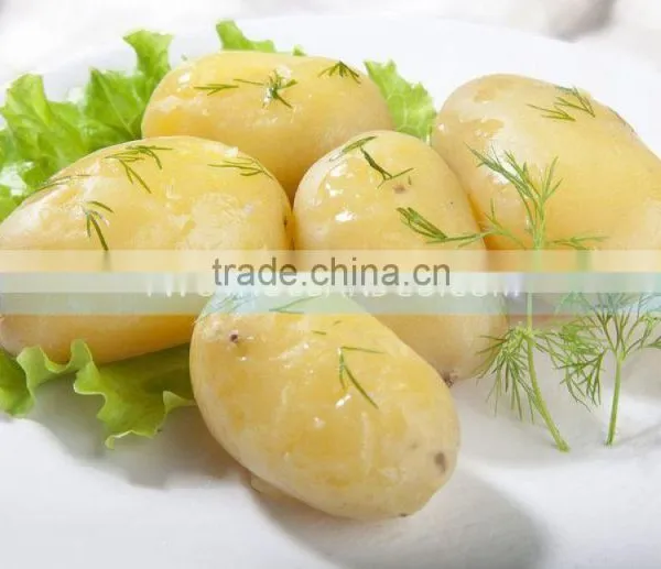 2016 Vegetable and Fruit Processing Line Sweet Potato Washing and Peeling Machine photo-2