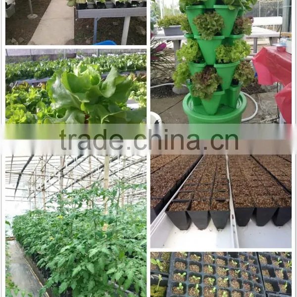 Vermiculite for Garden Potting Soil/ Greenhouse/Greenroof/Landscaping photo-5