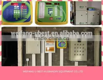 Hot Sale Agricultural Automatic Sheed Poultry Equipment photo-2