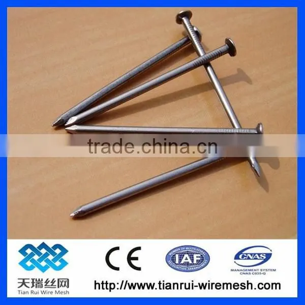 Common Wire Nail/polished Common Nail/bright Common Nail photo-4