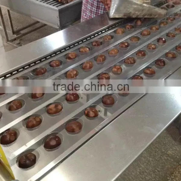 RZ420 Automatic Continuous Vacuum Packing Machine photo-4