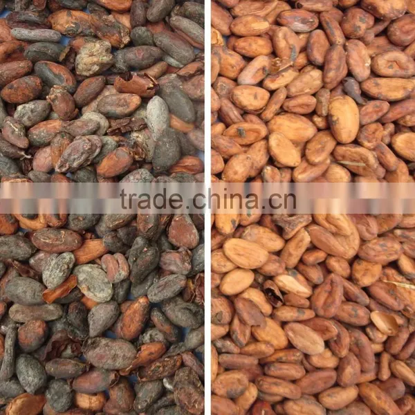 Agricultural Machines Advanced Optical Sorting Cocoa Bean CCD Color Sorter photo-3