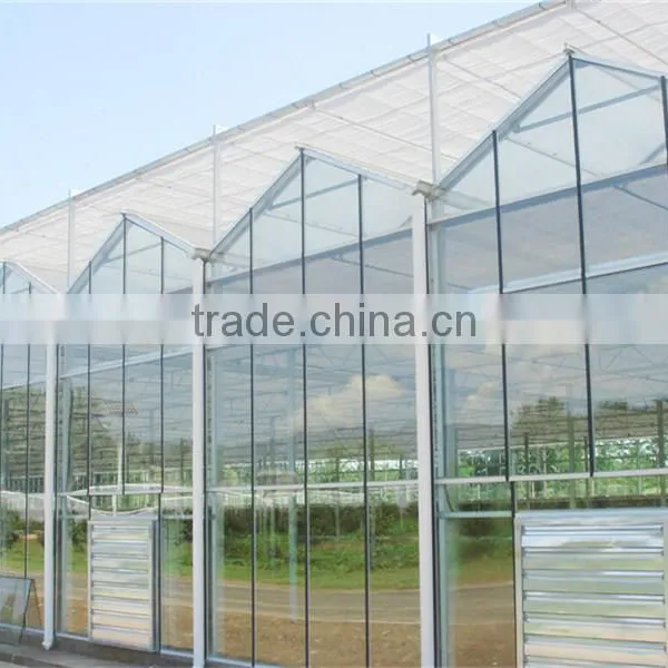 Hot Sale Multi Span Glass Greenhouse photo-4