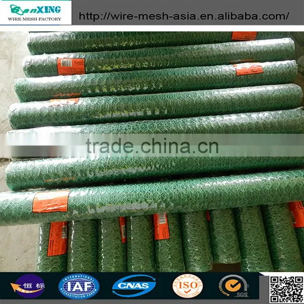 Galvanized Hexagonal Wire Netting/chicken Coop Hexagonal Wire Mesh photo-2