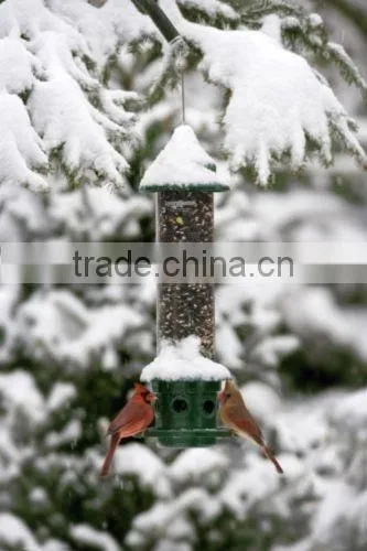 Squirrel Buster Plus Wild Bird Seed Feeder photo-3