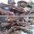 Hemidesmus Indicus Extract photo-2