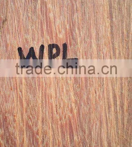 Suriname WPL / Witte Pinto Locus Log photo-2