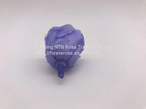 Top Festival Party Decoration Preserved Flower Supplier photo-3