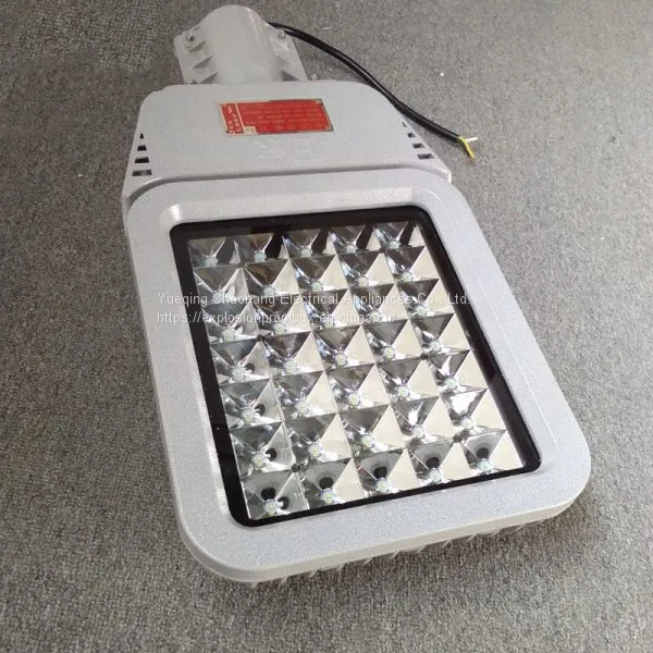 HRD9 Maintenance-free Explosion-proof LED Road Lamp High Efficiency Explosion-proof Street Lamp Pole photo-4