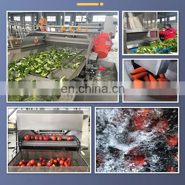 Industrial Vegetable Processing Line Salad Cutting Washing Dewatering Machine for Sale photo-4