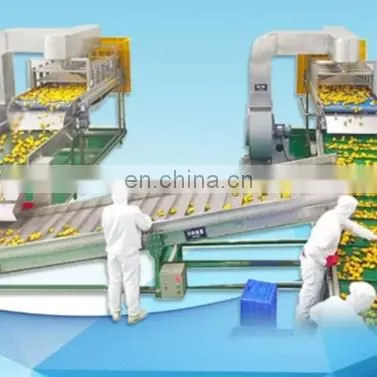 Automatic Industrial Complete Pineapple Juice Production Line