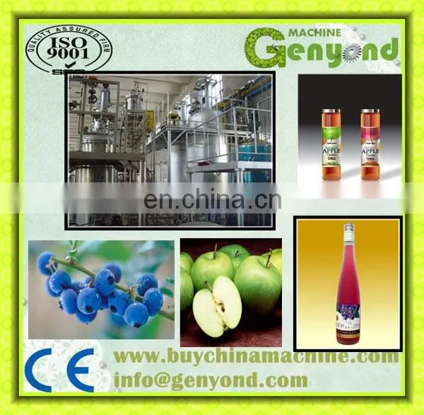Shanghai Factory Fruit Wine Apple Cider Vinegar Liquid State Fermentation Tank Machine Processing Plant Production Line photo-5