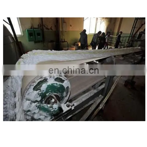 Iodized Sea Salt Production Line Refinery Plant Crude Rock Salt Refining Machine Lake Salt Crushing Washing Drying Machine photo-2