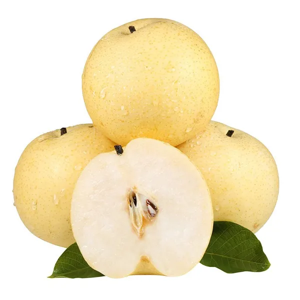 Singo Pear,Fengshui Pear,Ya Pear,Fresh Pear,Fuji Apple