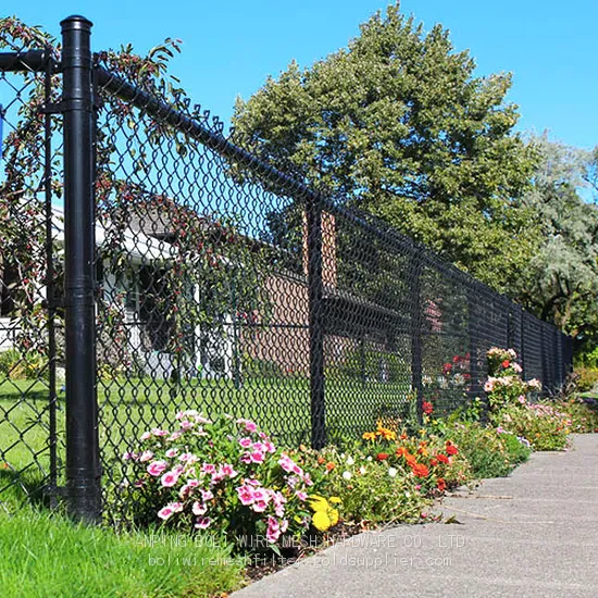 China Factory BOLI Chain Link Fence/ Diamond Outdoor Metal Fencing/Steel Wire Fencing Project/ FENCE/pvc Coated Chain Link Fence photo-4