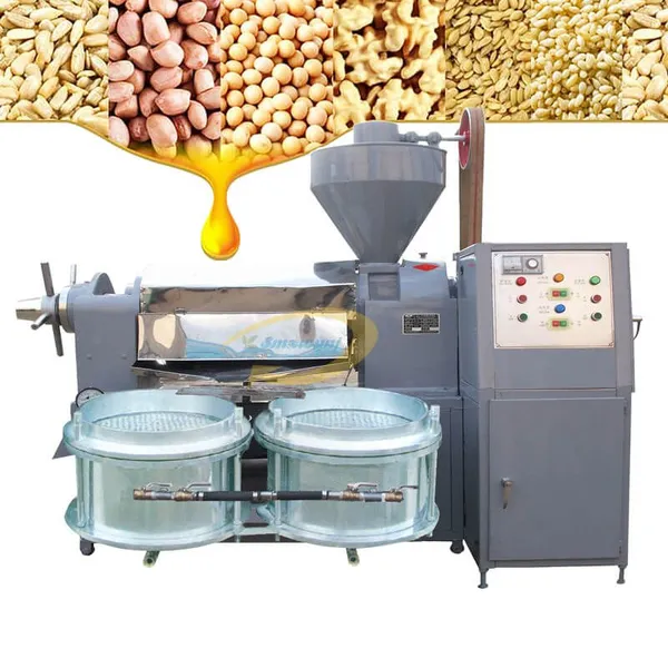 2026 Cooking Oil Making Machine 100 кг в час холодного и горячего прессования машина для извлечения масла, машина для отжима масла из арахиса