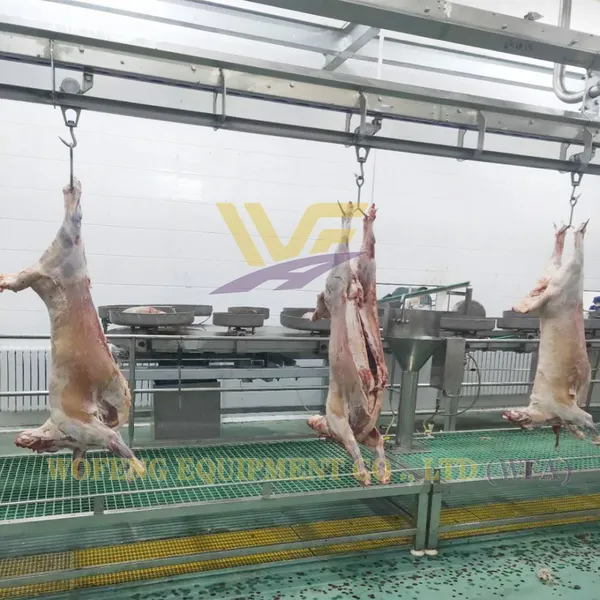 HACCP Whole Sheep Slaughterhouse Machine Goat Abattoir Equipment Lamb Butcher Machine Mutton Processing Line Factory photo-5