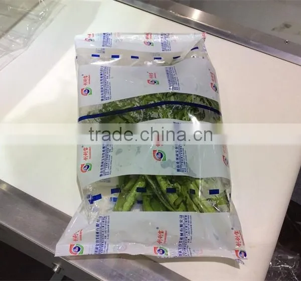 Vegetable and Fruit Automatic Pillow Filling Machine photo-2