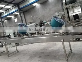 Auto Matic Fired Peanut Machine /roasted and Salted Peanut Machinary photo-3