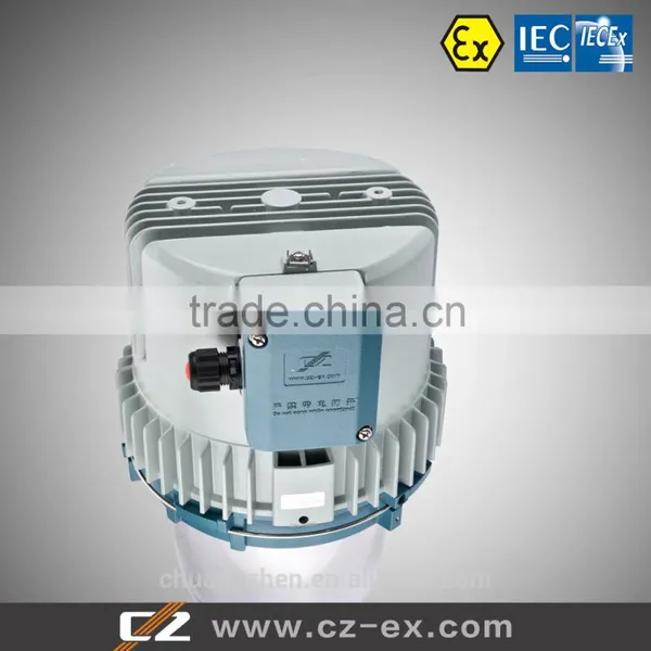 Explosion Proof Lighting Fixture,HPS photo-5