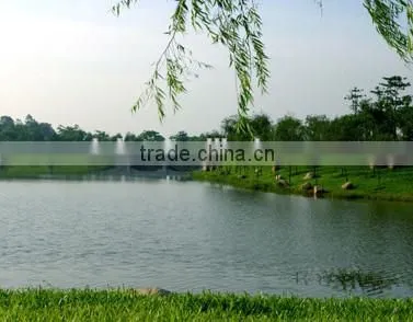 Fast and Cheap Dhl International Shipping Rates From China to USA photo-5