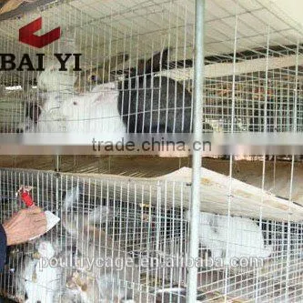 BAIYI Cheap 3 / 4 Tiers Cage For Commercial / Breeding Rabbit photo-3