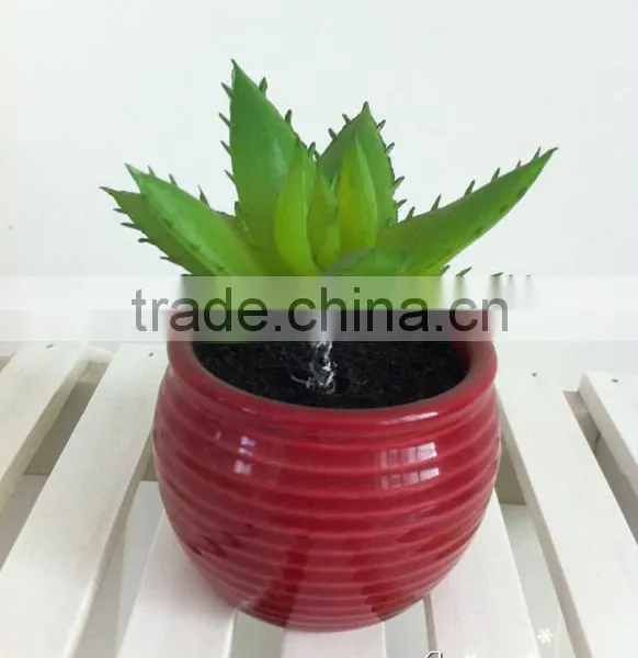 Beautiful Selling PP Material Simulation Succulents for Table Decoration photo-4