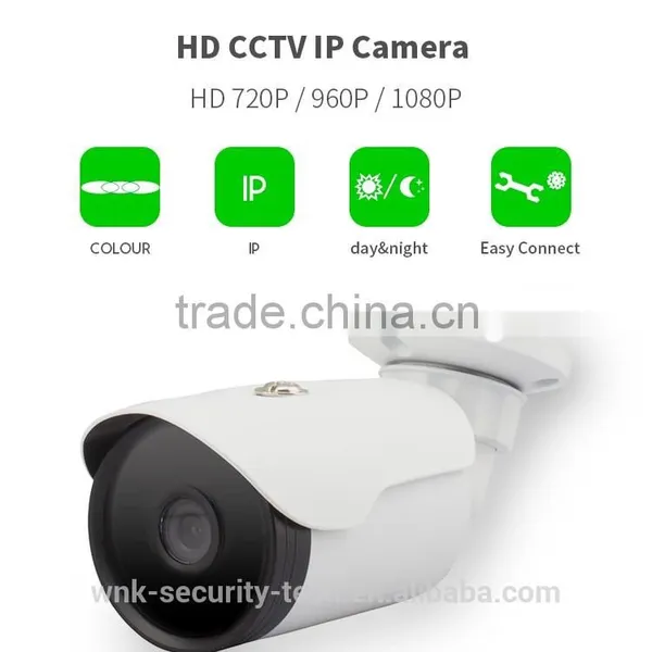 Vitevision Small Outdoor IR Waterproof IP66 Big 6 Leds Security IP Camera photo-2