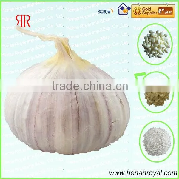 China Big Size Fresh Purple Garlic