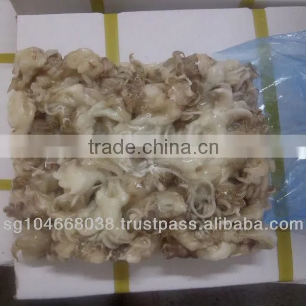 Frozen Cuttlefish Tentacles