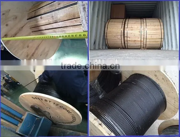 96 Core GYTY53 Loose Tube Stranding Direct-burial Cable, 96 Core GYTY53 Fiber Optic Cable photo-5