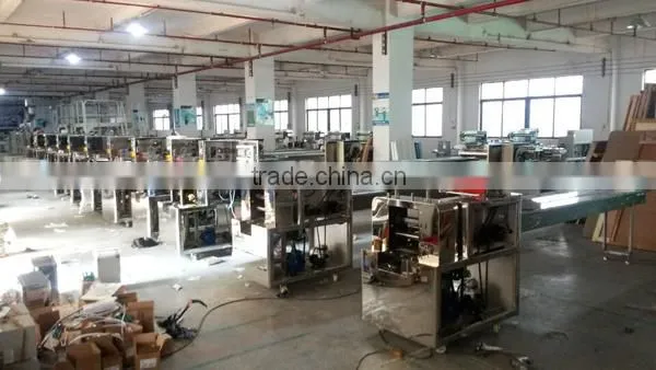 Horizontal Pillow Bafu Cake Packaging Machine DCTWB-250D photo-3