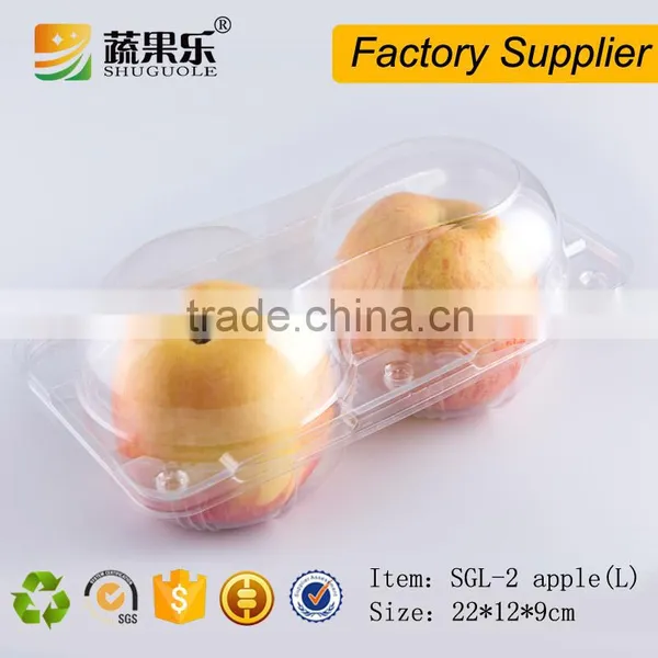 Customized Apple Fruit Packaging Box With 2 Cells photo-4