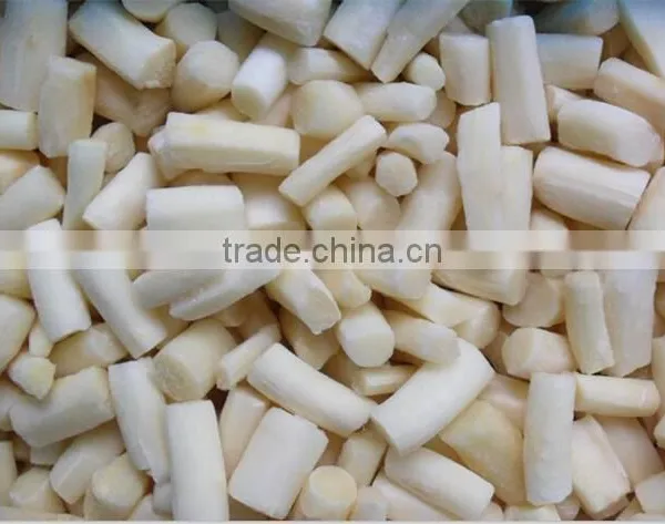 IQF Asparagus White and Green Tips and Cuts photo-6