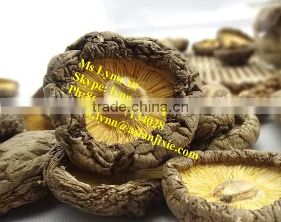 High Quality Mushroom /dry Shiitake Mushroom photo-5