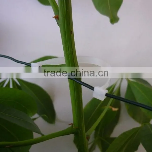 105mmL Gardening Plant Clip Kiwi Clip photo-4