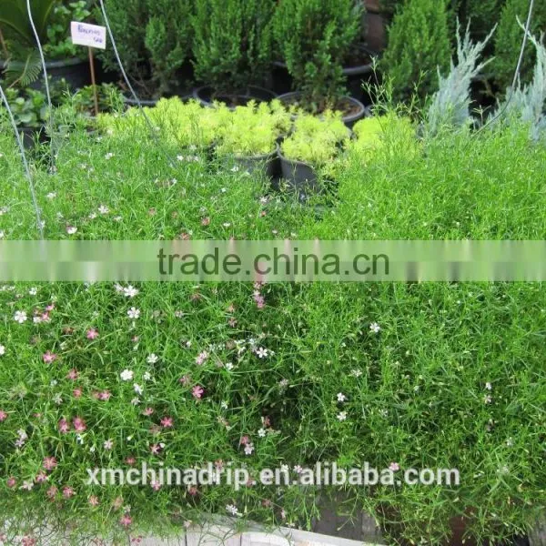 High Quality Irrigation System Garden Supplies Drip Hose Tape photo-5
