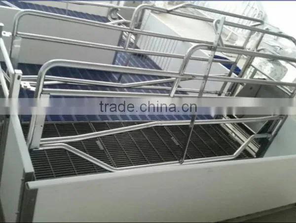 Stainless Steel for Pig Farrowing Crate