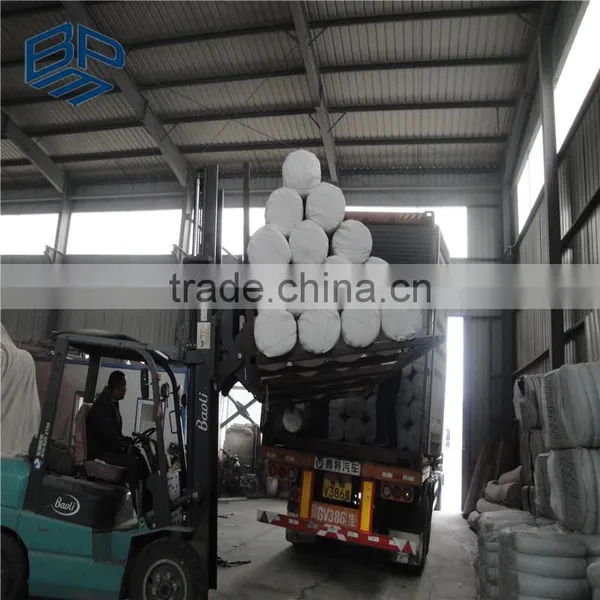 Non Wowen Staple Fabric Geotextile for Roads Projects photo-5