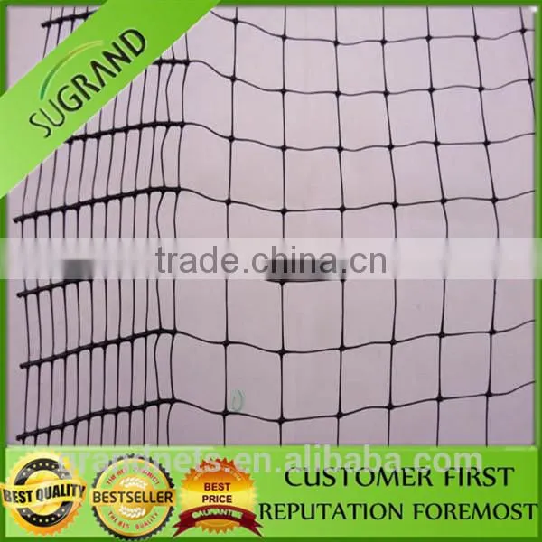Nylon Bird Nets for Catch Birds Anti Bird Netting for Australia Market photo-2