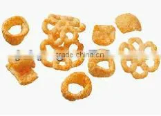 Screw Food Processing Line for Fried Snack Food