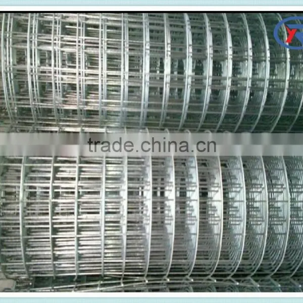 Trade Assurance Galvanized Iron Welded Wire Netting Mesh photo-6