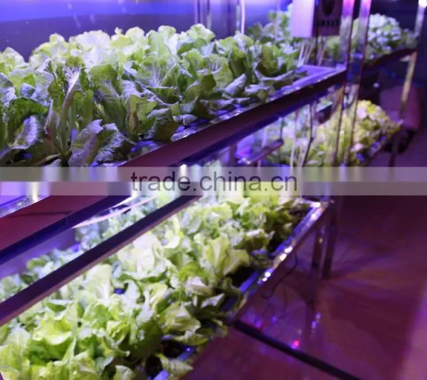 Mars-Hydro Led Grow Light Bar Strips Indoor Plant Led Grow Light photo-3