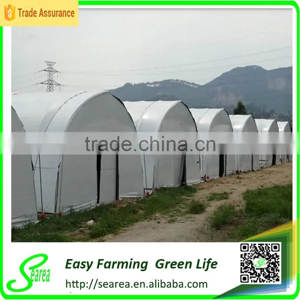 2016 Hot Sale Greenhouse for Mushroom photo-2