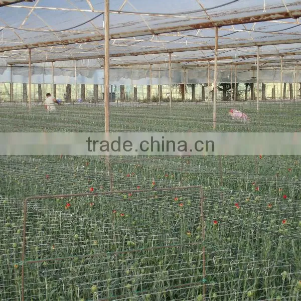 Blowing Molding, Multi-span, Tunnel PE Material, Agricultural Greenhouse Film Manufacturer photo-2