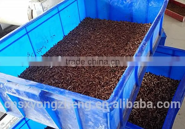 Microwave Dried Mealworms for Reptiles ;China Products Dried Mealworms photo-4