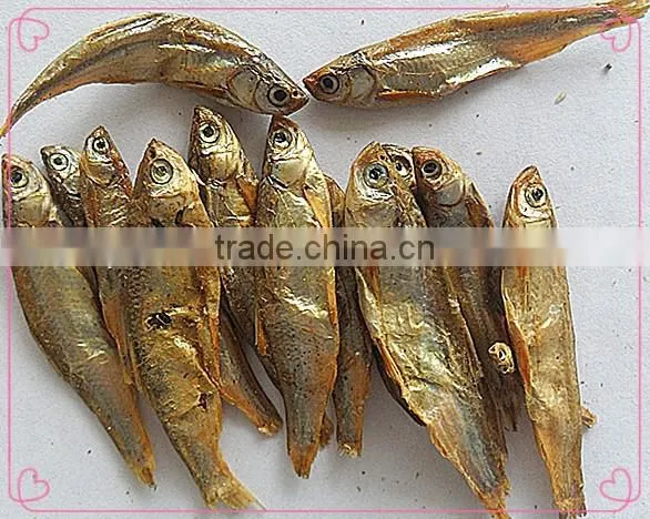 Dry Cat Food Pet Food Dried Fish photo-2