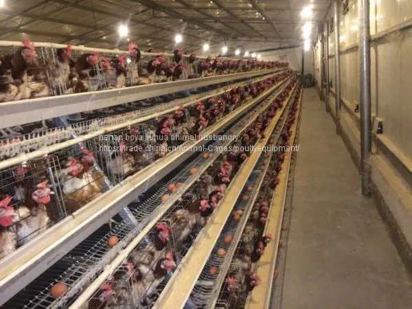 Poultry Farming Equipment