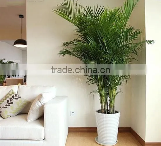 Decor Indoor Artificial Areca Tree Decoration Home Artificial Areca Tree Decor Indoor Office photo-6